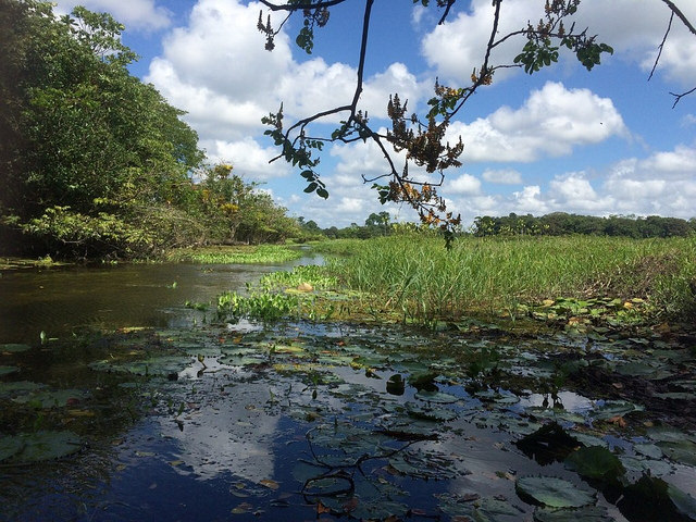 Guyane