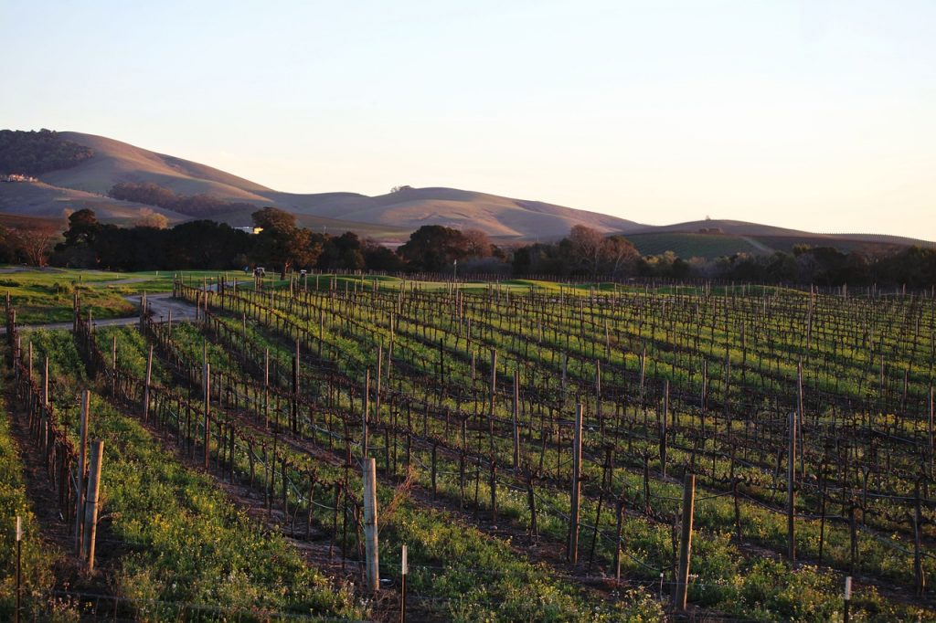 Napa Valley - blog GO Voyages