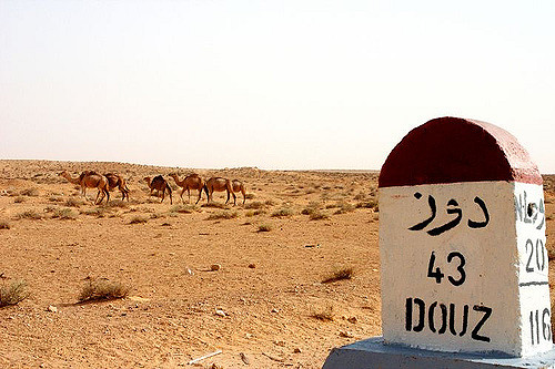 Douz Sahara Tunisie