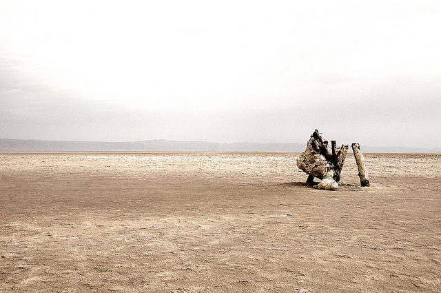 Chott el Djerid Tunisie