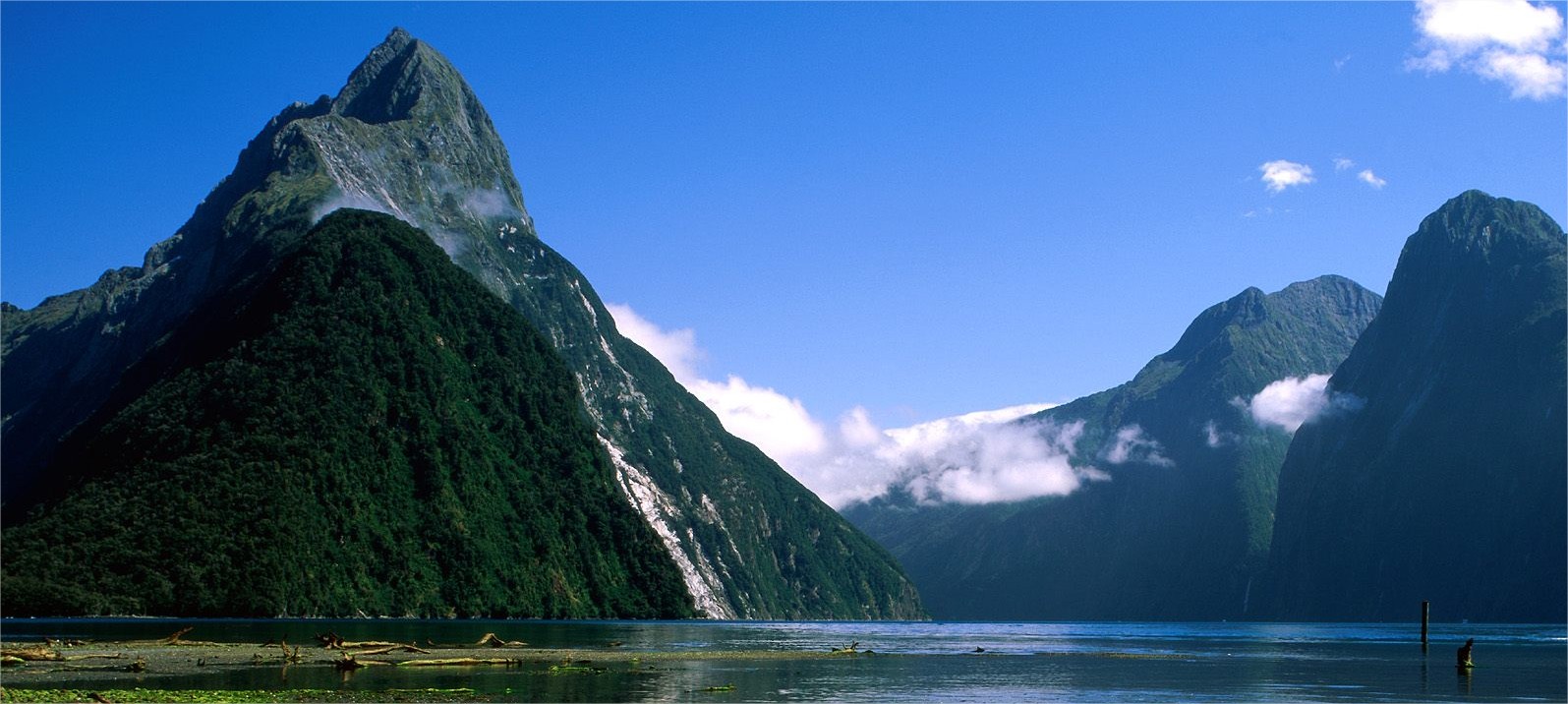 paysage fjord nouvelle-zélande - blog GO Voyages