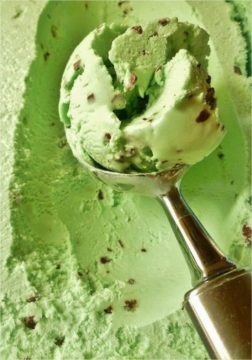 Glace menthe chocolat