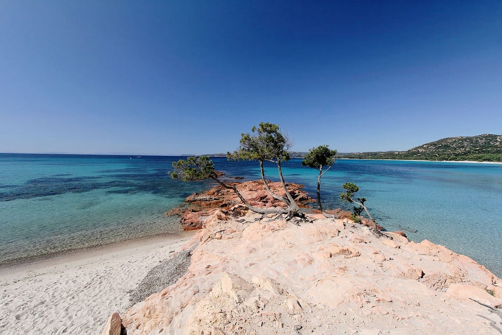 Plage de Palombaggia en Corse - blog GO Voyages