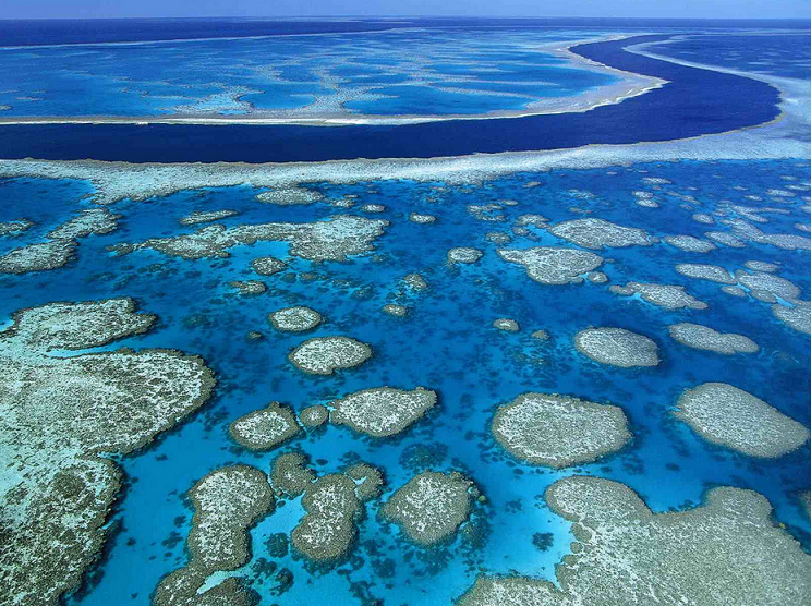 La grande barriere de corail