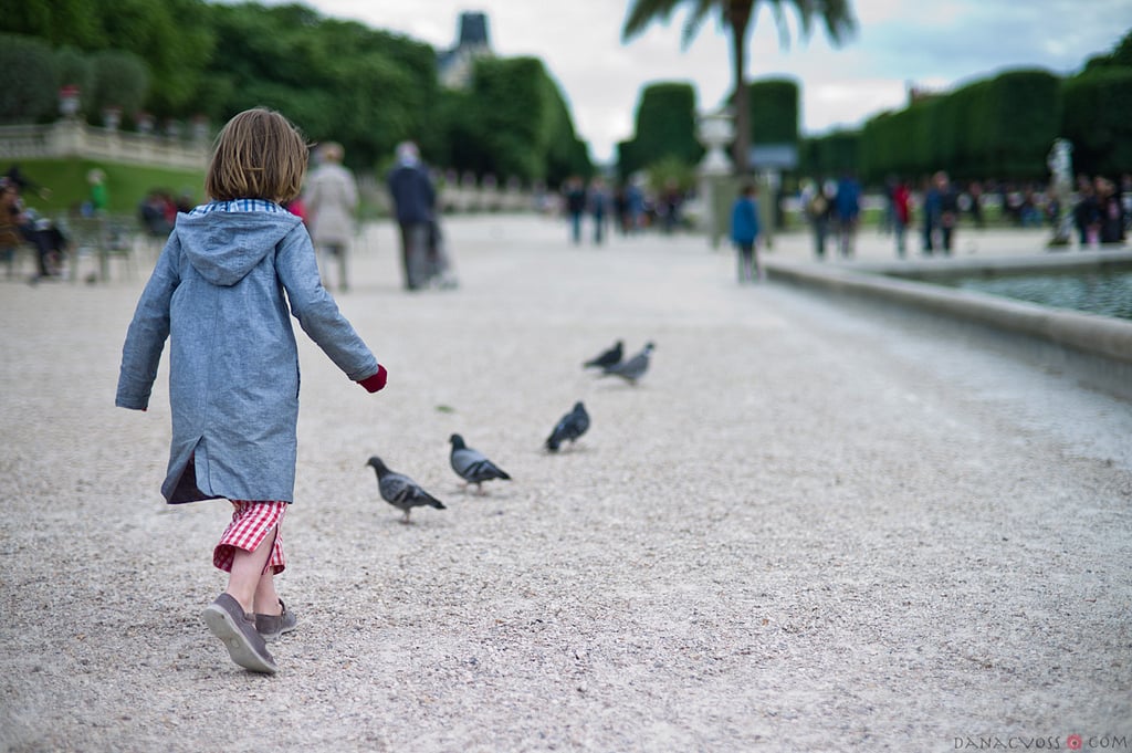 jardin du luxembourg