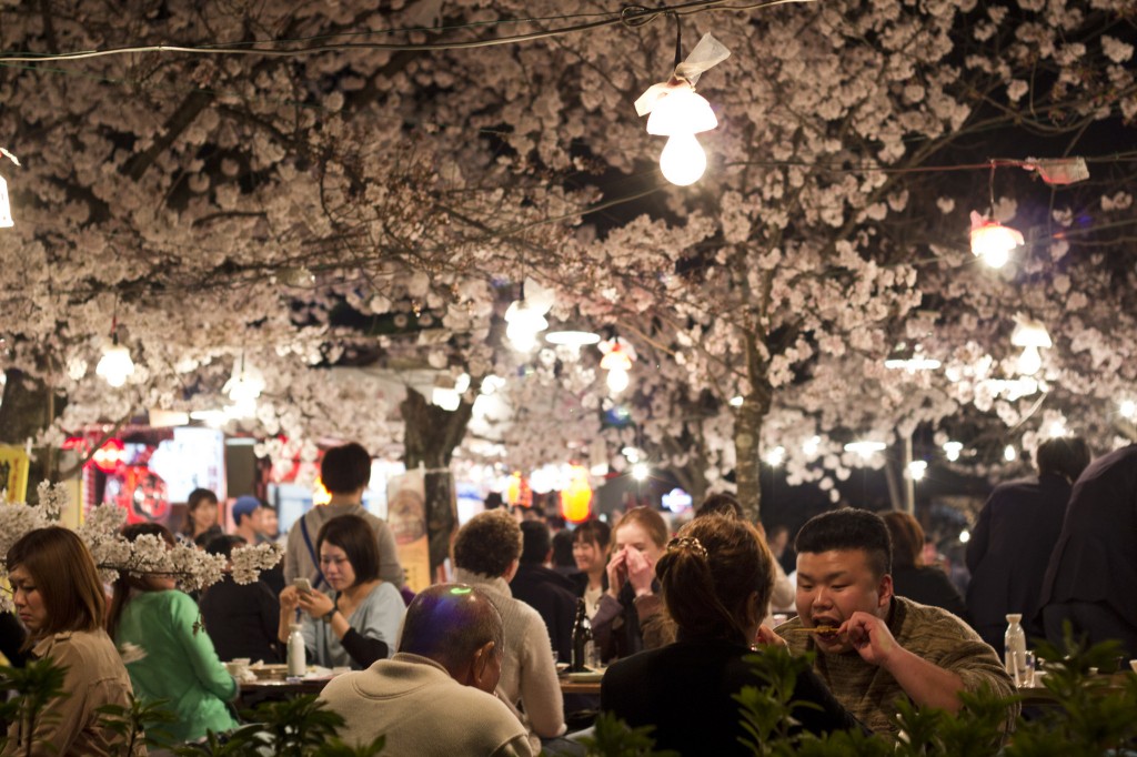 cerisiers en fleurs japon festival mars - blog go voyages