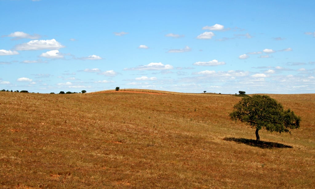 Alentejo Portugal Portugal en une semaine - blog go voyages