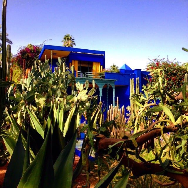 cactus jardin Majorelle Maroc - blog GO Voyages