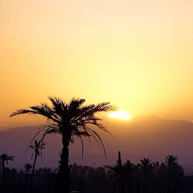 palmeraie Marrakech - blog GO Voyages