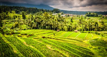 Bali et Lombok : top 10 des choses à faire