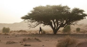 Une semaine en Algérie