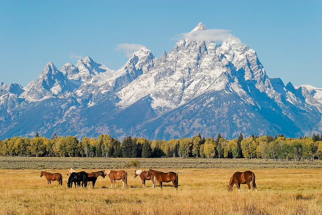 Grand Teton