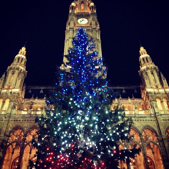 christmas tree wien