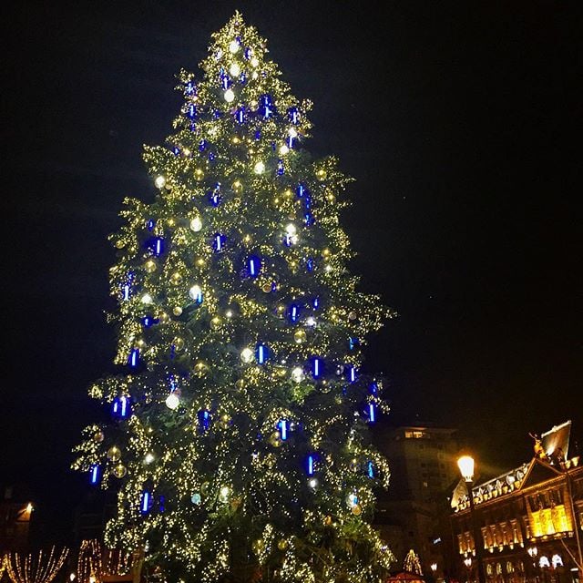 sapin strasbourg