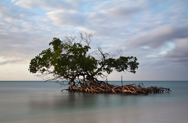 cayo levisa cuba - blog go voyages