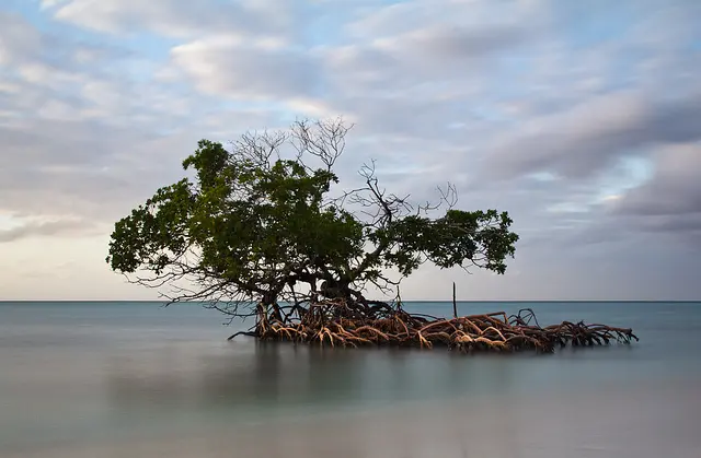 cayo levisa cuba - blog go voyages