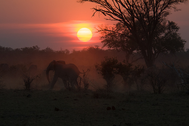 botswana 