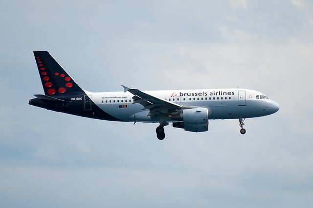 brussels airlines bagages 