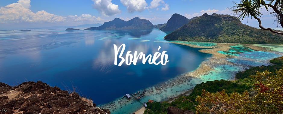 borneo