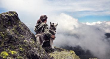 Prendre l’avion avec un animal de compagnie