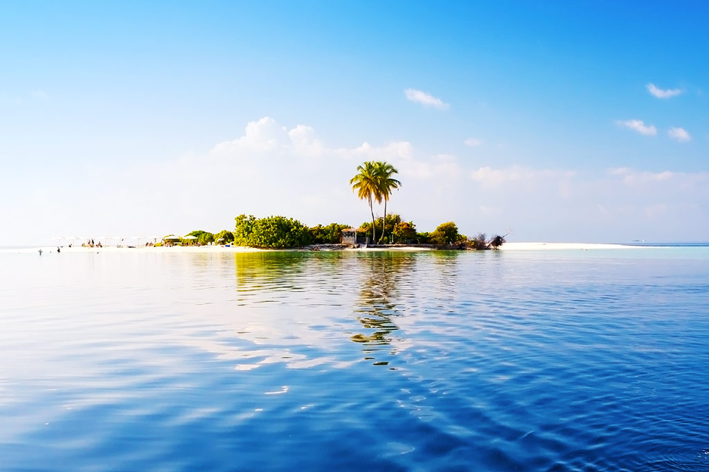 ile palmiers ciel bleu - blog go voyages