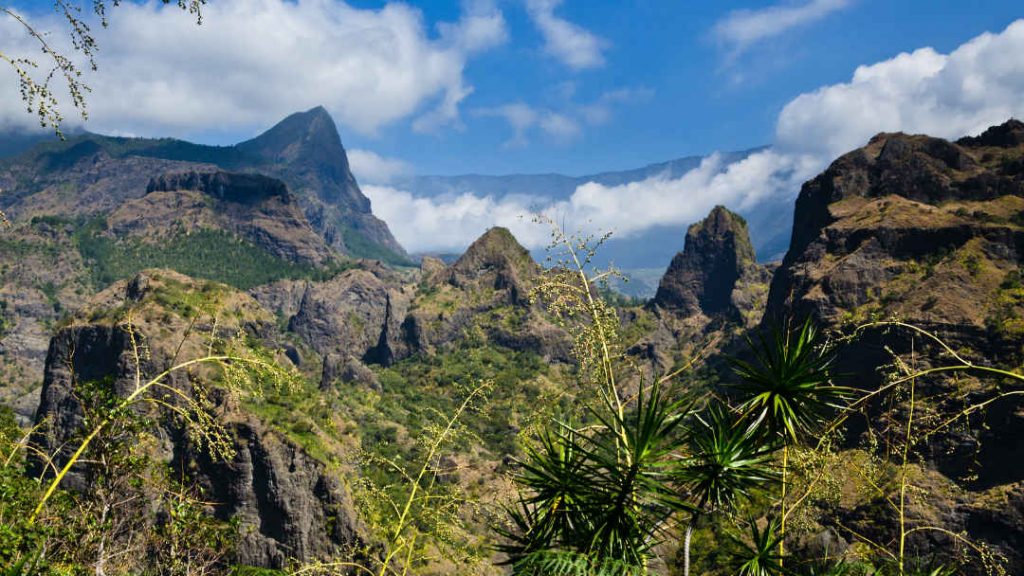 montagne vegetation la reunion - blog go voyages