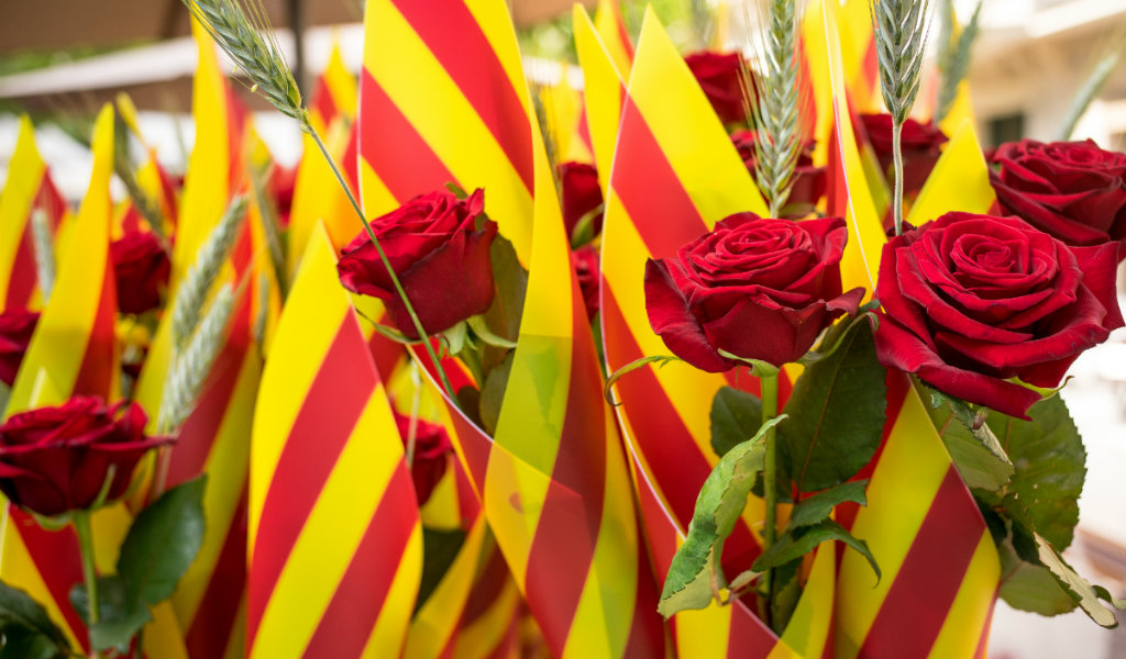 saint valentin catalogne rose - blog go voyages