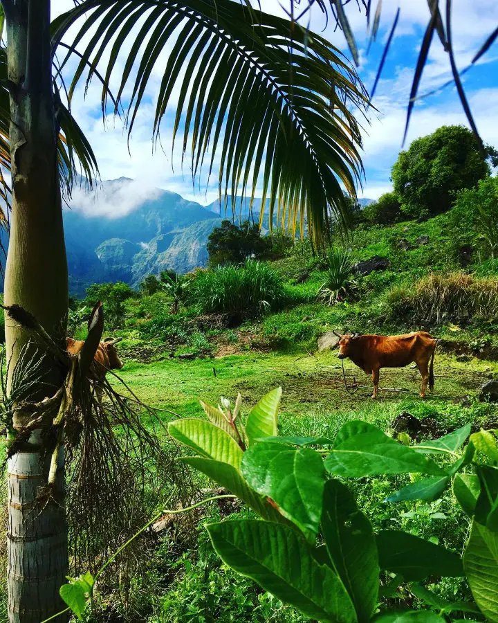 paysage camping aurère la réunion - blog GO Voyages