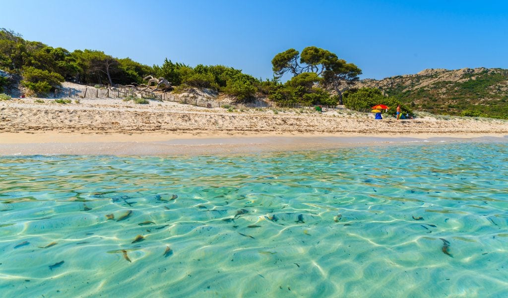 plage saleccia corse - blog GO Voyages