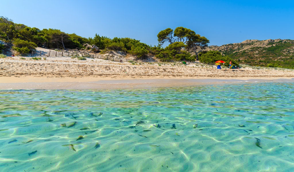 Découvrez Les 10 Plus Belles Plages De Corse Go Voyages