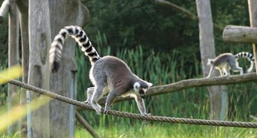 Les 10 choses à faire à Madagascar