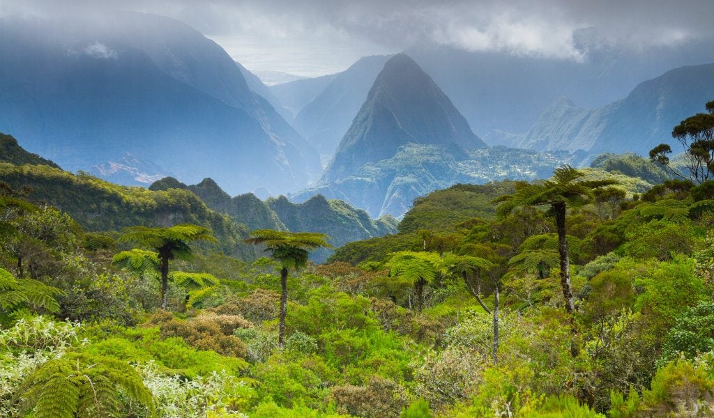 jungle la réunion - blog GO Voyages