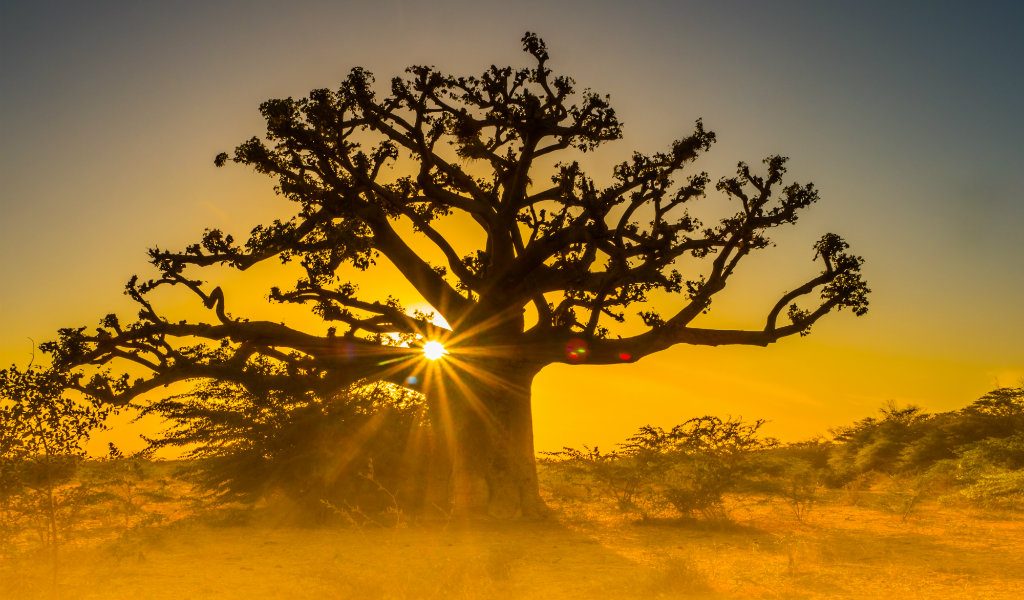 coucher de soleil savane senegal afrique - blog go voyages