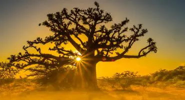 Afrique : 5 destinations à moins de 6 heures d’avion