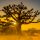 coucher de soleil savane senegal afrique - blog go voyages