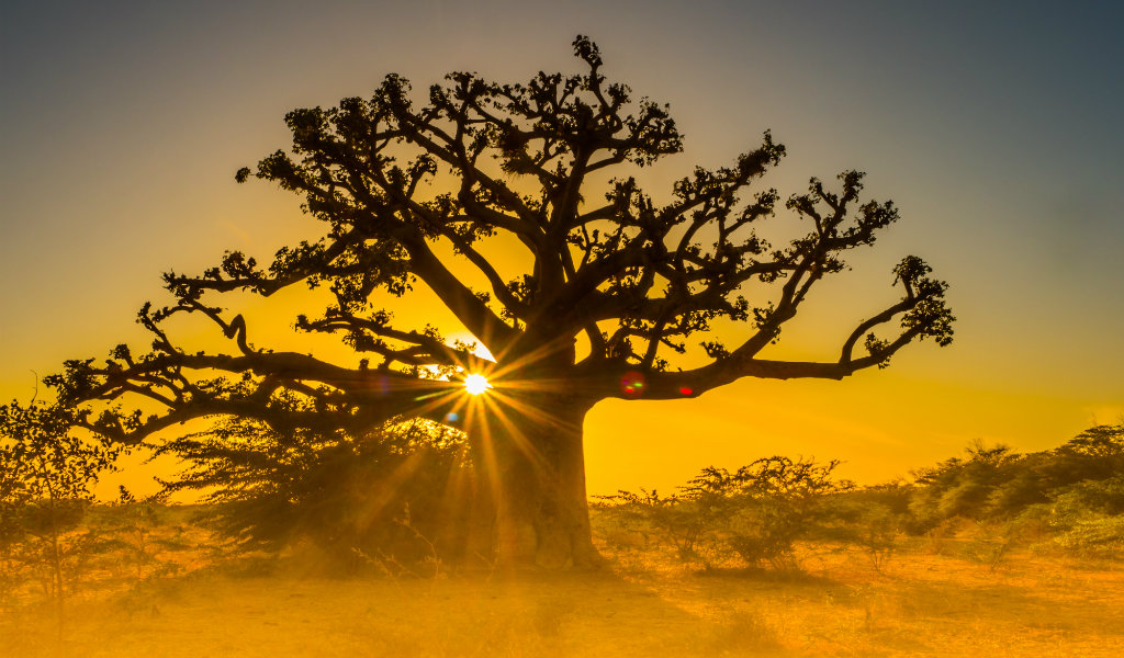 coucher de soleil savane senegal afrique - blog go voyages