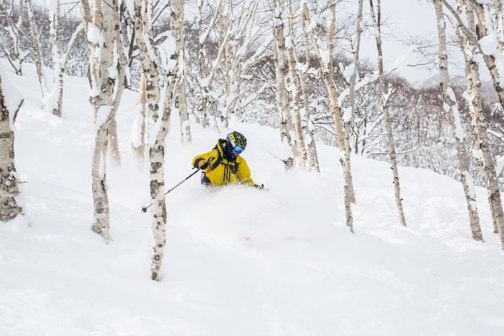 descente ski niseko japon govoyages