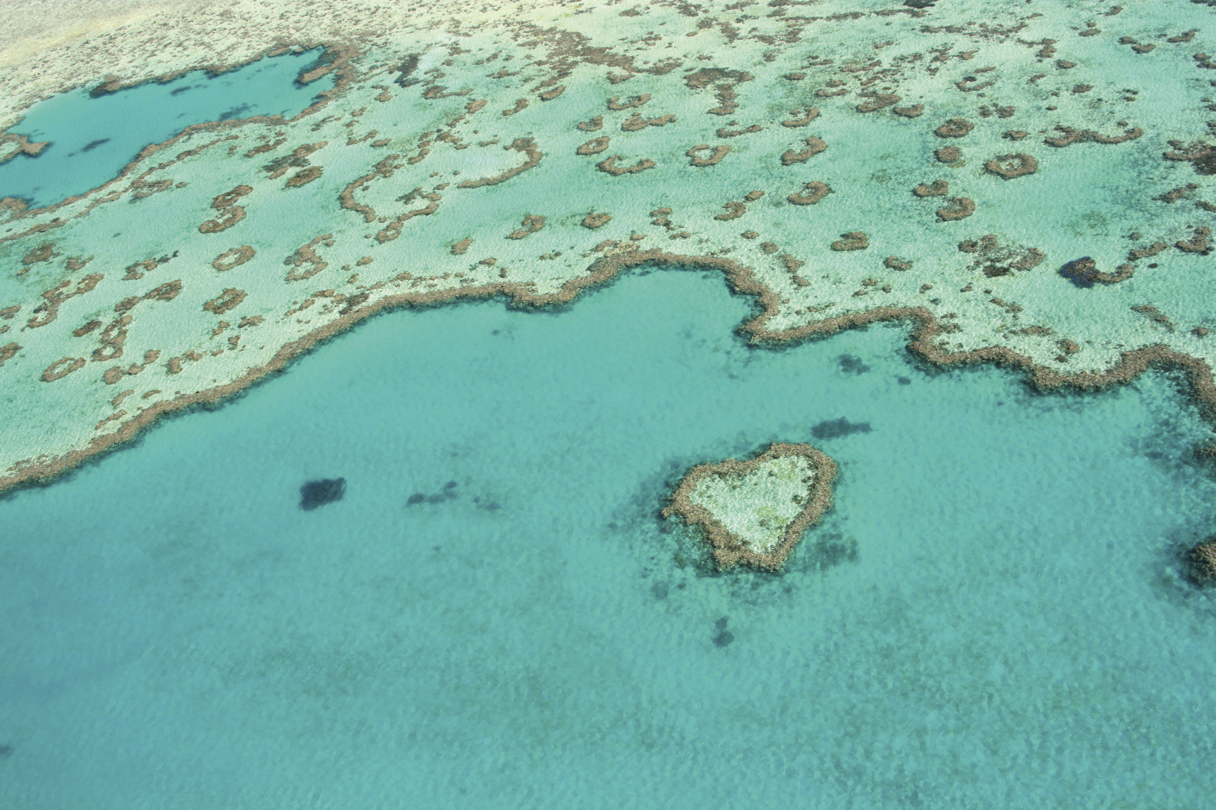 Barrière de Corail en Australie
