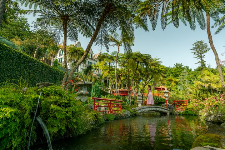 Le jardin Tropical de Monte Palace Madeira 