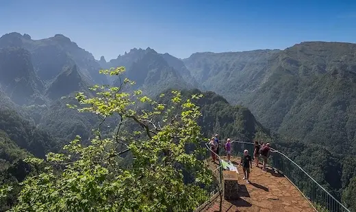 La forêt Laurissilva