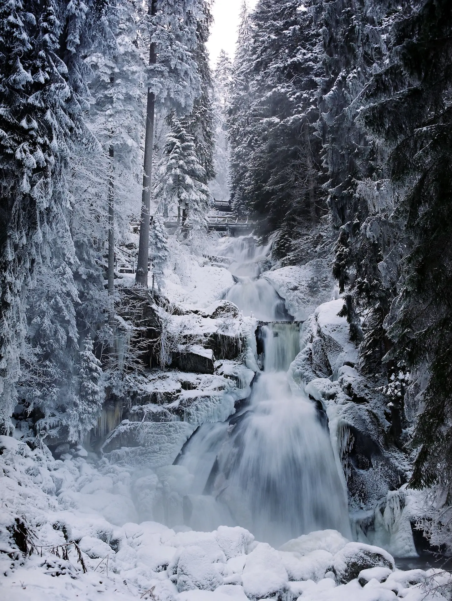 Une excursion inoubliable entre la nature, les cascades et l'horloge à coucou.
