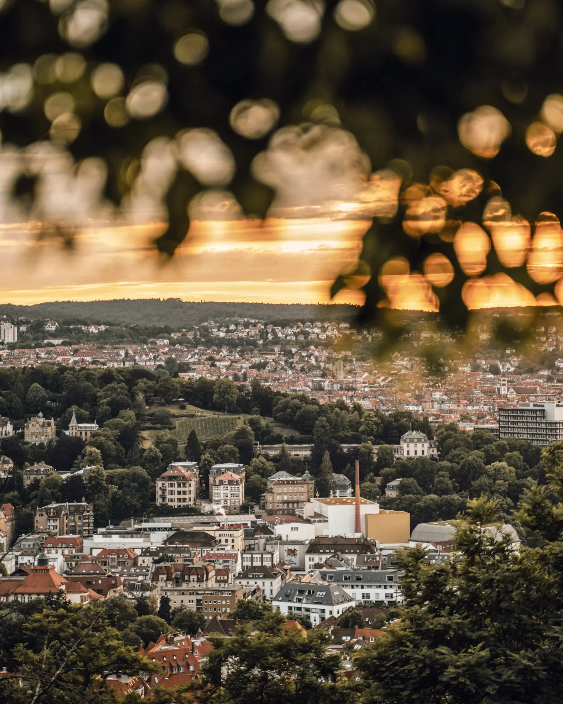 Un dernier jour pour les souvenirs et un retour serein.