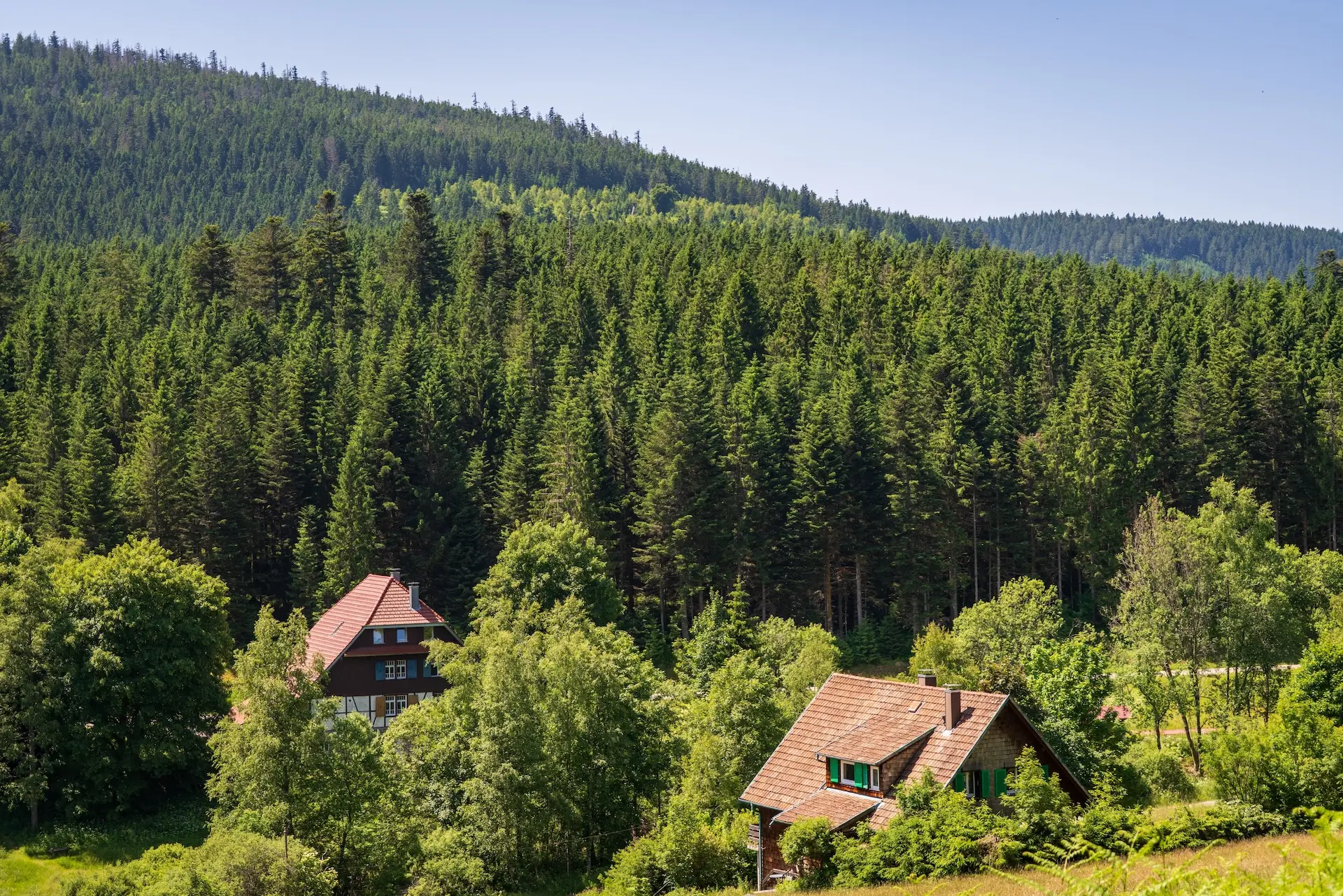 Une excursion inoubliable entre la nature, les cascades et l'horloge à coucou.